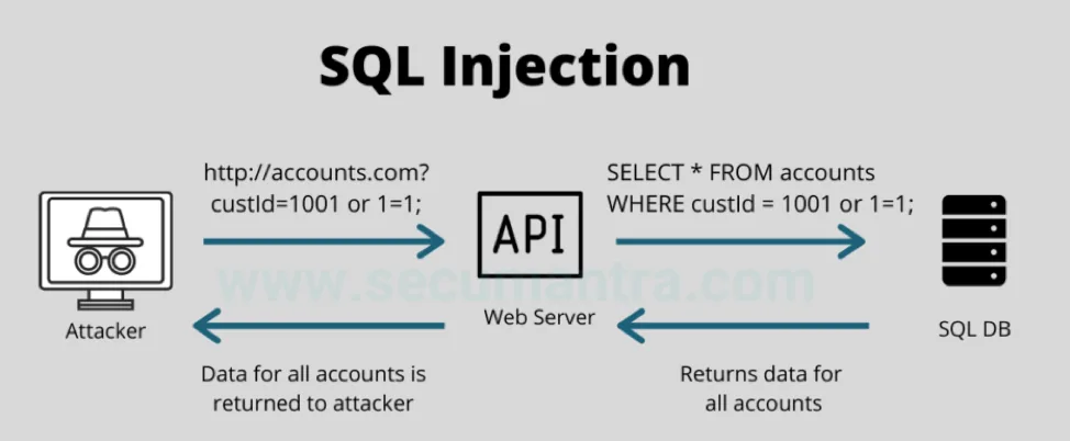 Payment API vulnerability classes
